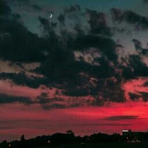 peraltaabigail avatar