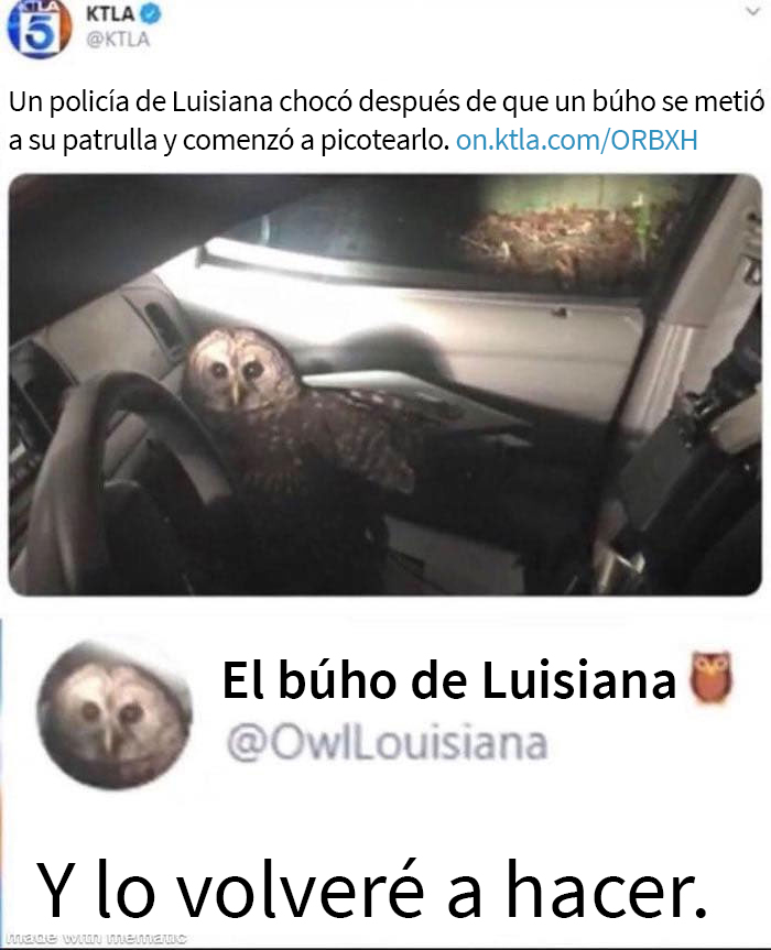 40 Hilarious Memes On Life In The US (New Pics)