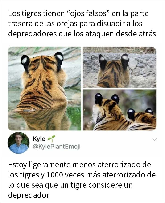 50 Funny Memes That Are So Relatable, People Labeled Them As "Selfies Of The Soul"