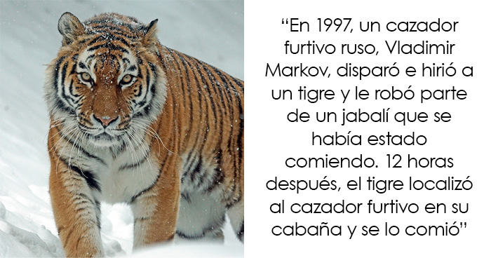 «Hoy Aprendí»: 30 cosas interesantes sobre el mundo que siempre es bueno descubrir (Nuevas fotos)