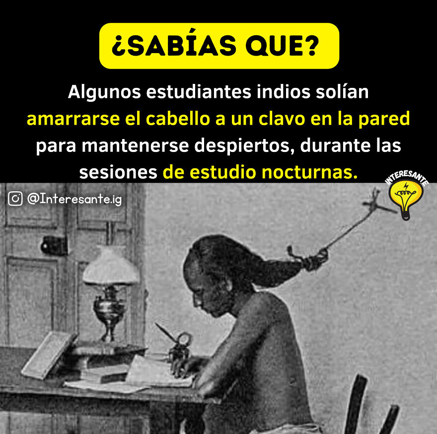 Datos Curiosos Que Ampliar&aacute;n Tu Intelecto! 🤯🌎🧠