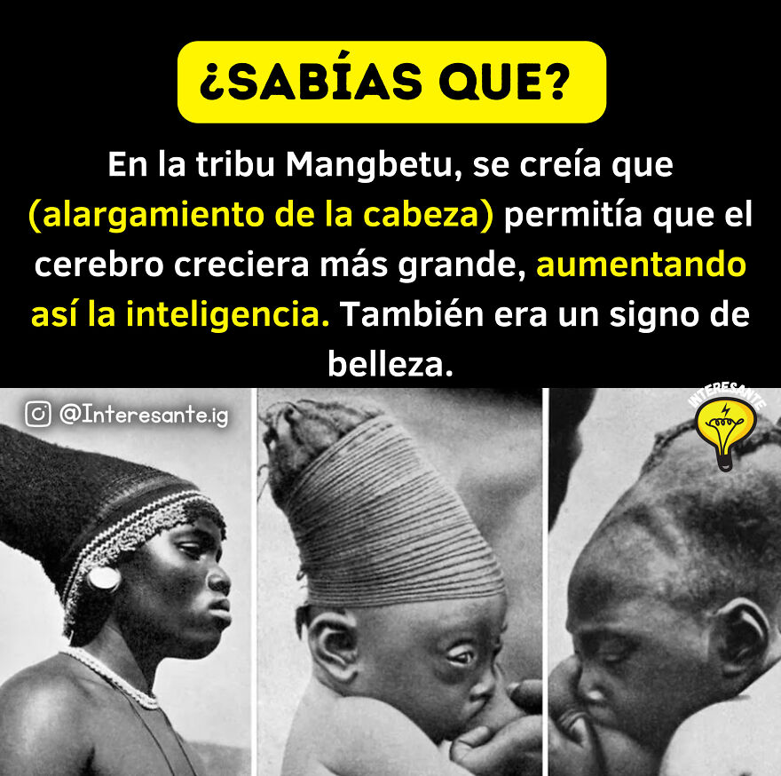 Datos Curiosos Que Ampliar&aacute;n Tu Intelecto! 🤯🌎🧠