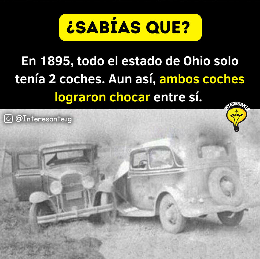 Datos Curiosos Que Ampliar&aacute;n Tu Intelecto! 🤯🌎🧠
