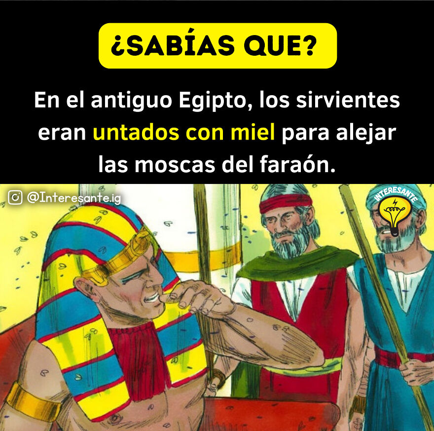 Datos Curiosos Que Ampliar&aacute;n Tu Intelecto! 🤯🌎🧠