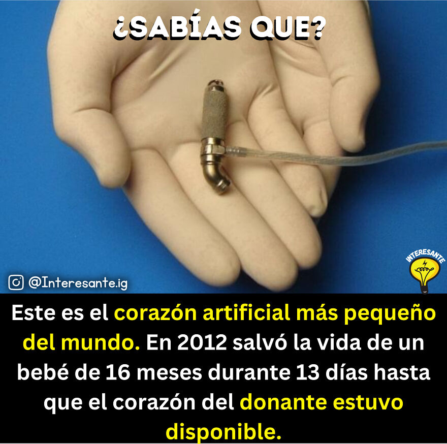 "Sabías Que... Los Secretos Y Curiosidades Del Mundo Desvelados" "Sabías Que... Los Secretos Y Curiosidades Del Mundo Desvelados"