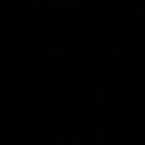 davidricardoreina avatar