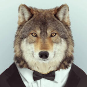 aaroncuestahernandez avatar