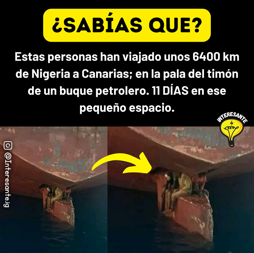 "Sabías Que... Los Secretos Y Curiosidades Del Mundo Desvelados" "Sabías Que... Los Secretos Y Curiosidades Del Mundo Desvelados"