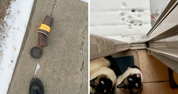 Fotos del invierno que revelan cómo es realmente el frío