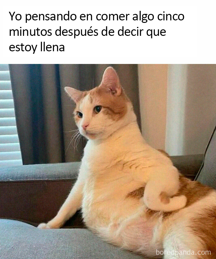 “Sarcasm Only”: 50 Hilariously Unhinged Memes That May Tickle Your Funny Bone (New Pics)