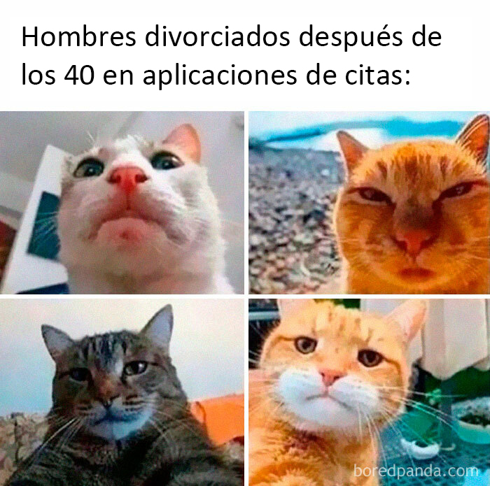 “Sarcasm Only”: 50 Hilariously Unhinged Memes That May Tickle Your Funny Bone (New Pics)