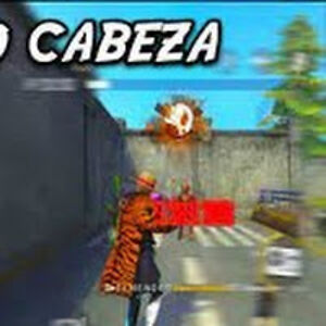 nicholashernandez avatar