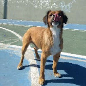 paolasuarezrubio avatar