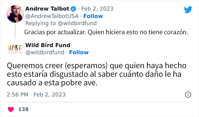 Esta paloma fue teñida de rosa para una fiesta de revelación de género, y ahora sus rescatadores intentan salvarla