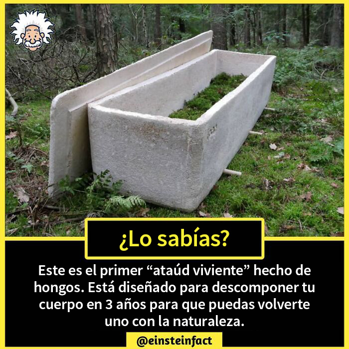 "Did You Know?": 30 Interesting Facts About The World You Probably Didn't Learn At School