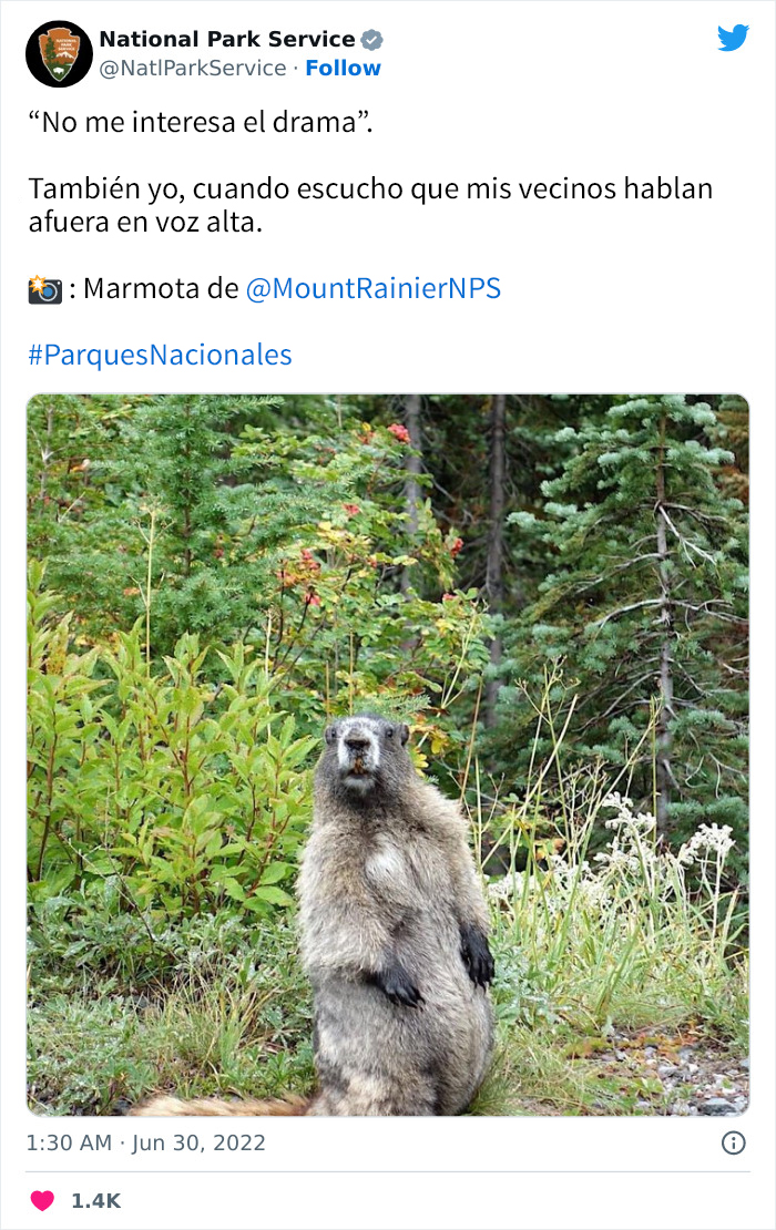 National Park Service Hired The Perfect Social Media Person As Their Tweets Are Hilarious So Here Are 34 Of The Best Ones