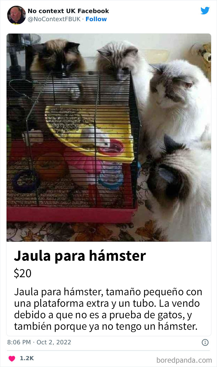 50 Chaotic And Hilarious ‘No Context UK’ Pics That Are 100% British (New Pics)