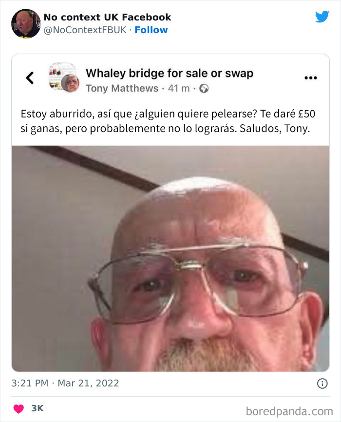 50 Chaotic And Hilarious ‘No Context UK’ Pics That Are 100% British (New Pics)