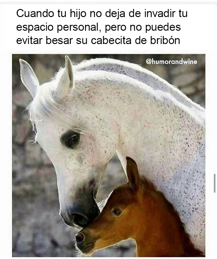 20 Publicaciones divertidas sobre la realidad del matrimonio y ser padres