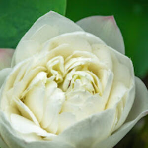 mirthavalverderivera avatar