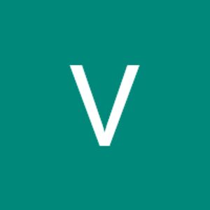 virginiaanselmi avatar