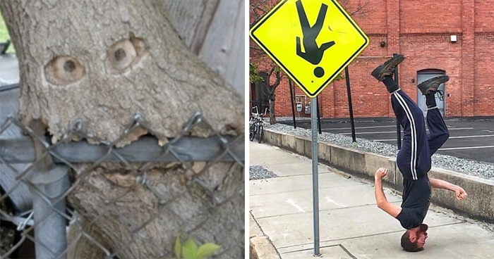 25 Publicaciones inexplicables que te dejarán perplejo