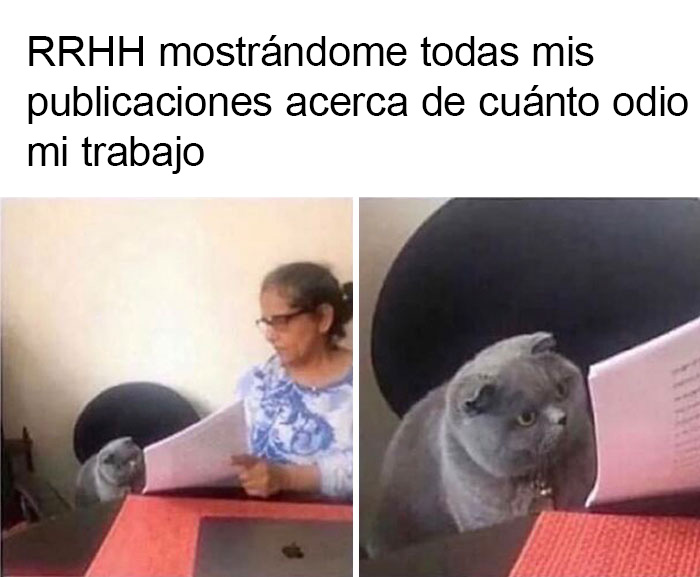 50 Hilarious Memes About Office Life That You'll Probably Want To Share With Your Coworkers