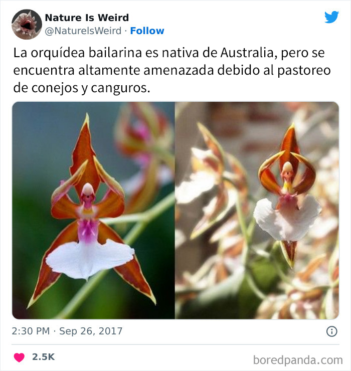 “Nature Is Weird”: 50 Interesting Pics And Facts About Mother Nature Shared By This Account