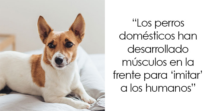 «Hoy aprendí»: 25 Datos interesantes sobre el mundo que quizá no sabías