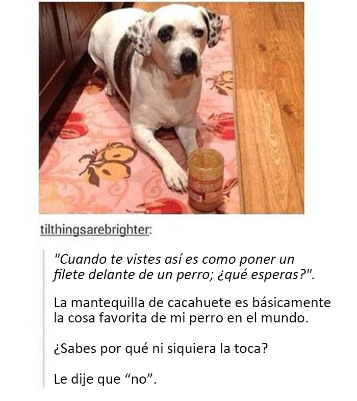 ‘Awkward Animals’: 50 Hilarious Memes Shared By This Comedy-Themed Facebook Page