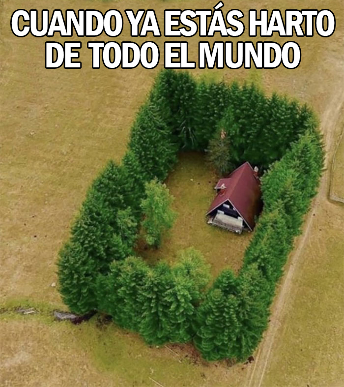 50 Introverts Share Spot-On And Funny Memes About Their Struggles On This Twitter Page