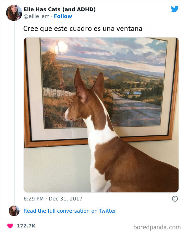 43 Of The Funniest Animal Memes To Put A Smile On Your Face, As Shared On This Facebook Page