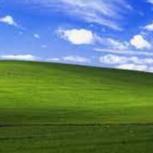 vonmaticrackersalsa avatar