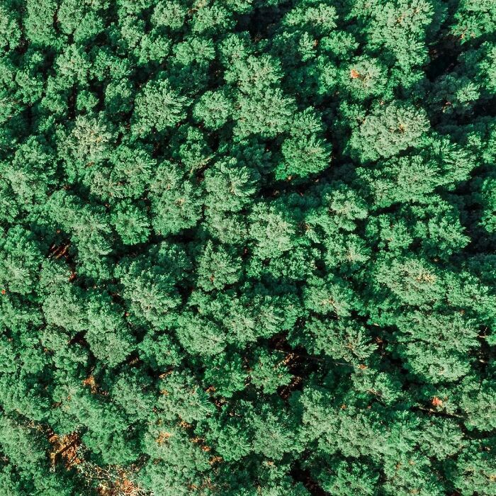 La colorida naturaleza de Japón desde el aire: 30 fotos con dron