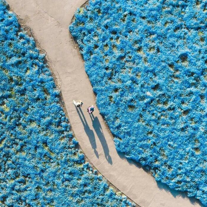 La colorida naturaleza de Japón desde el aire: 30 fotos con dron