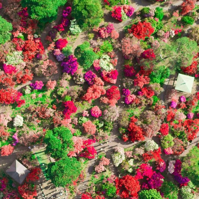 La colorida naturaleza de Japón desde el aire: 30 fotos con dron