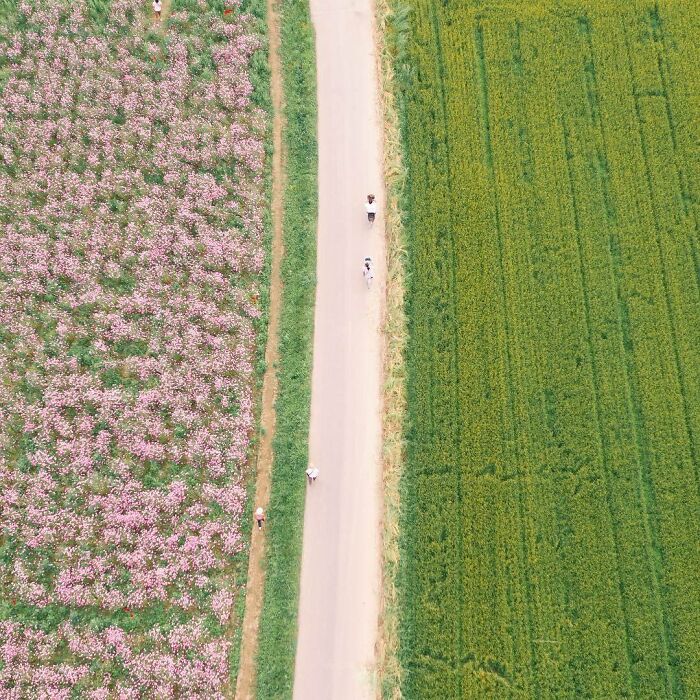 La colorida naturaleza de Japón desde el aire: 30 fotos con dron