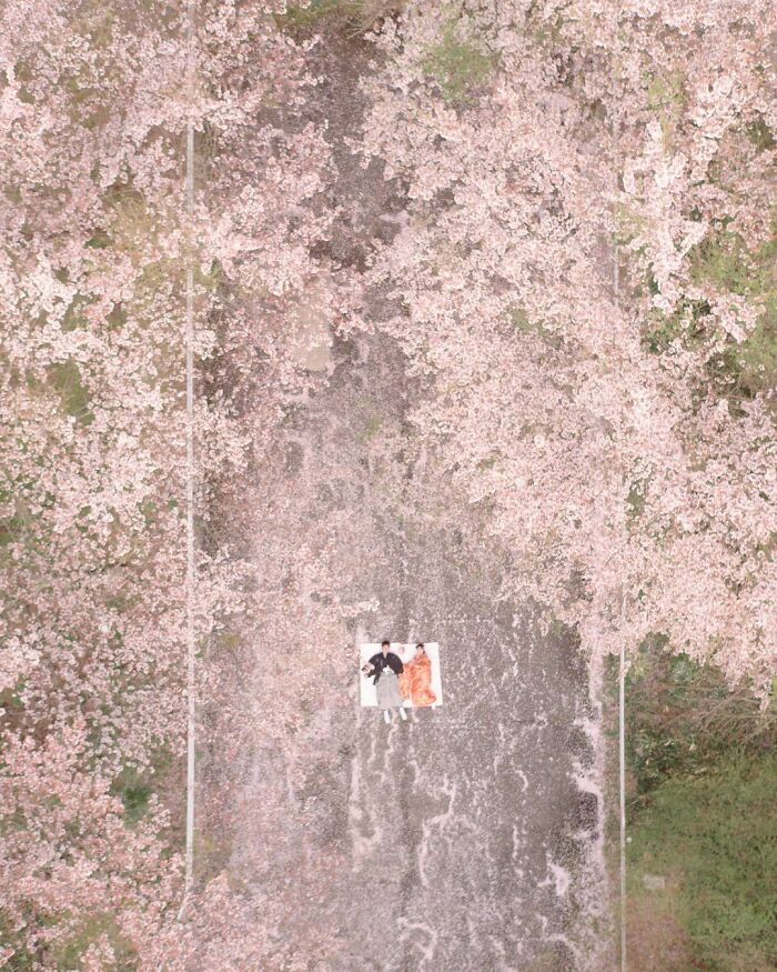 La colorida naturaleza de Japón desde el aire: 30 fotos con dron