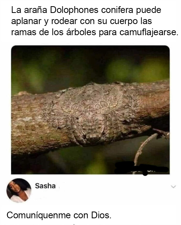 This Group Exists “To Make Your Mood Better”, And Here Are 50 Of Their Posts That May Do Just That