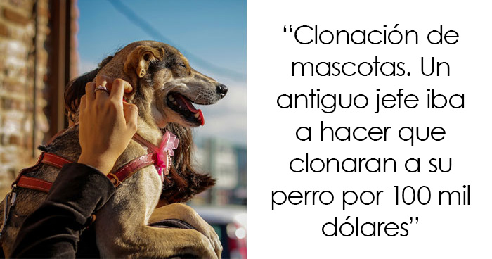 «¿Qué compran los ricos que los pobres ni siquiera saben que está a la venta?»: 20 Respuestas