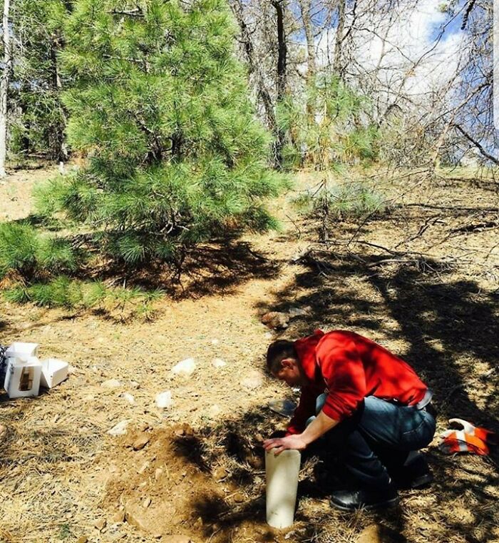 "El bosque de vida": Abre el primer cementerio ecológico donde los fallecidos se convierten en árboles