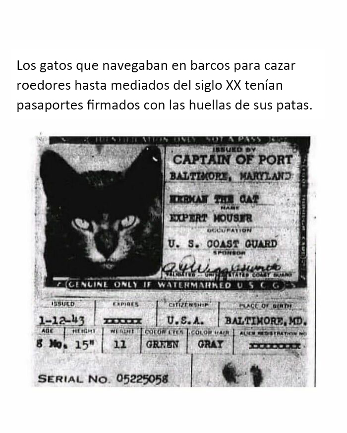 If The World Feels Like A Terrible Place, These 50 Wholesome Pics And Memes Might Cheer You Up