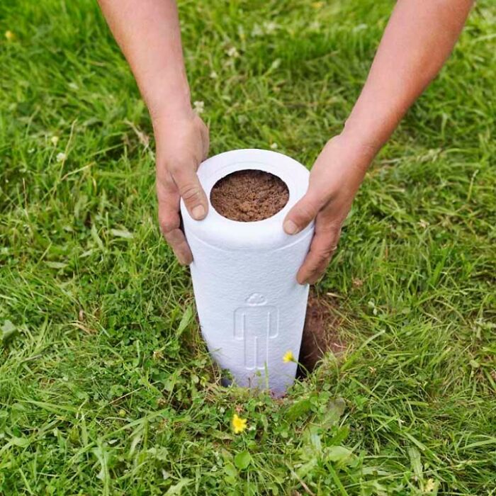 "El bosque de vida": Abre el primer cementerio ecológico donde los fallecidos se convierten en árboles
