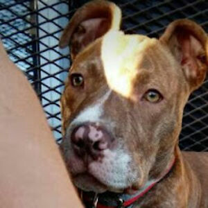 milenaandrosiuk avatar