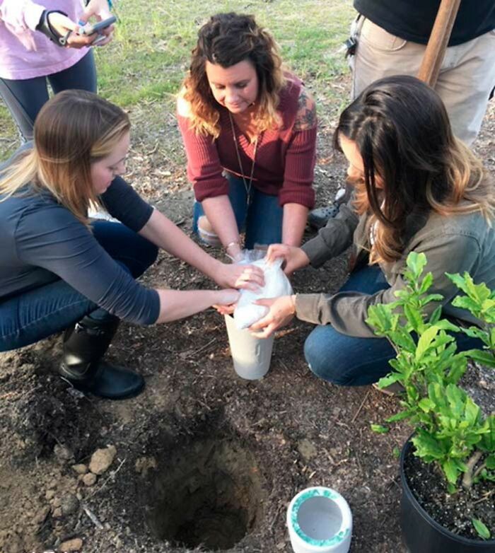 "El bosque de vida": Abre el primer cementerio ecológico donde los fallecidos se convierten en árboles