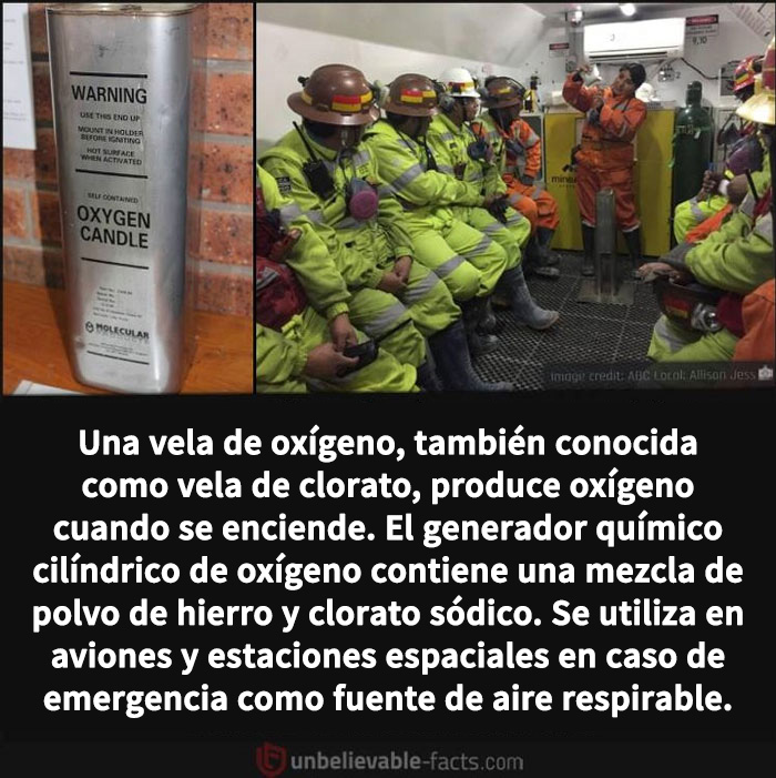 50 Intriguingly ‘Unbelievable Facts’ Perfect For Those Who Want To Test Their Knowledge Or Learn Something New