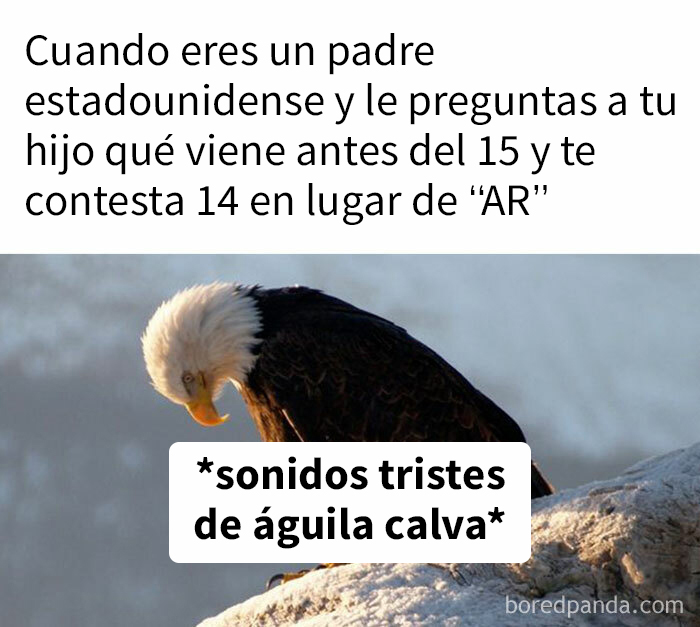 “This Is Violently American”: 45 Posts From A Facebook Group Dedicated To Things That Could Only Come From The States