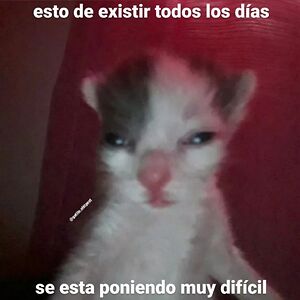 davidsilvahinojosa avatar