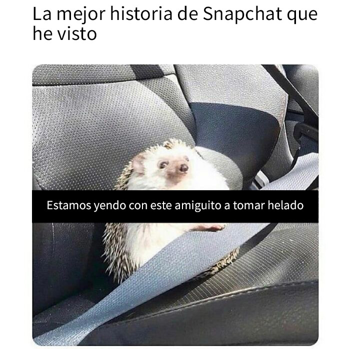 50 Memes To Bring A Taste Of British Humor To Your Screen (New Pics)