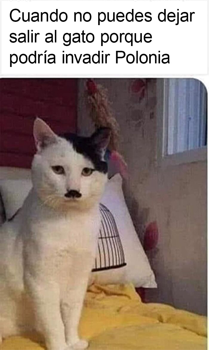 This Page Is Dedicated To Funny And Relatable Memes, And Here Are 50 Of The Best Ones